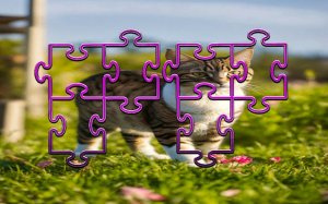 Cat Jigsaw Puzzle Frenzy: Feline Slide Puzzle Game Online