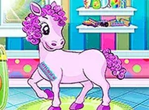 Pony Pet Salon Online Game